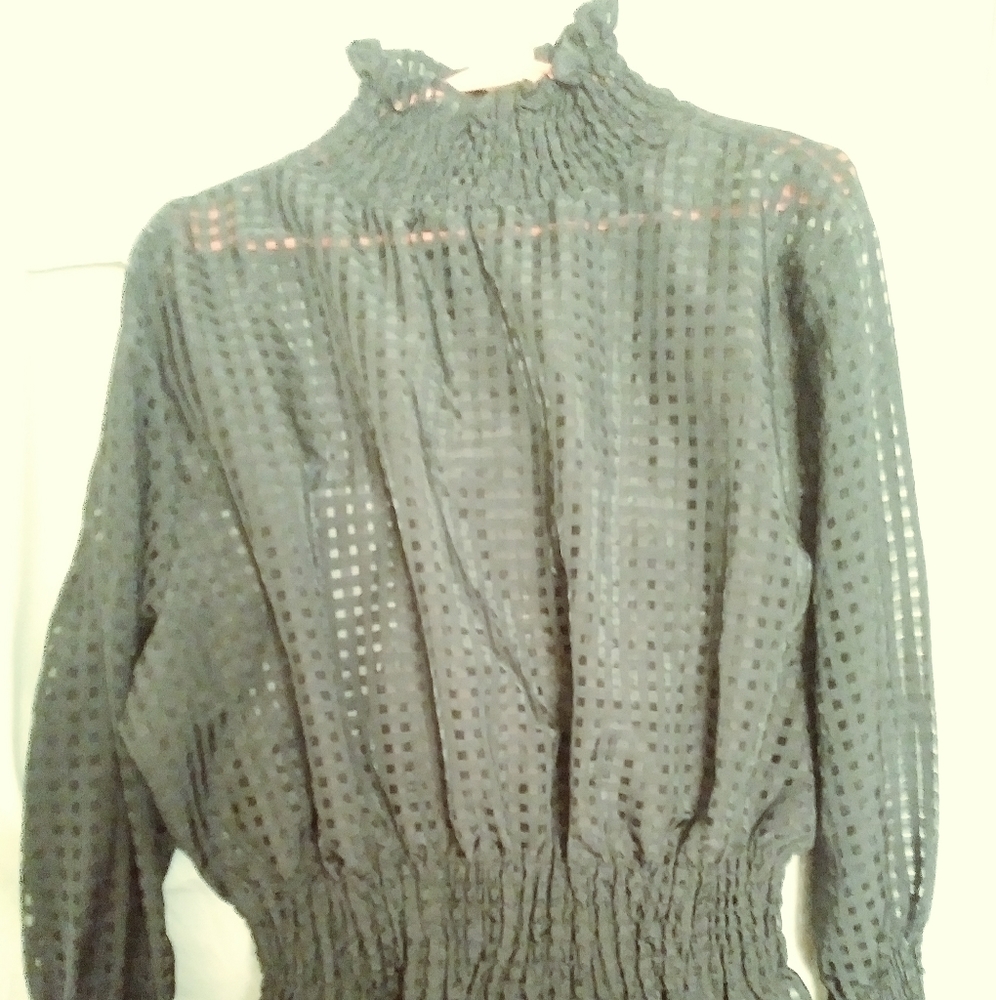 NEW NEVER WORN Fancy Sheer Blouse